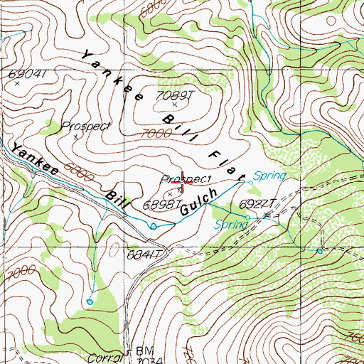 Topographic Map of Yankee Bill Flat, NV
