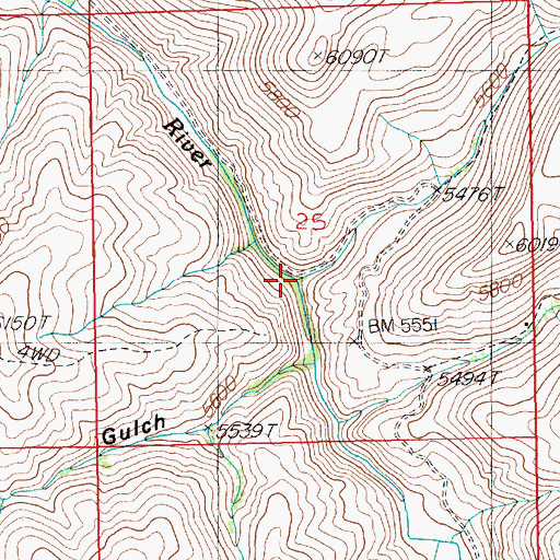 Topographic Map of Young American Creek, NV