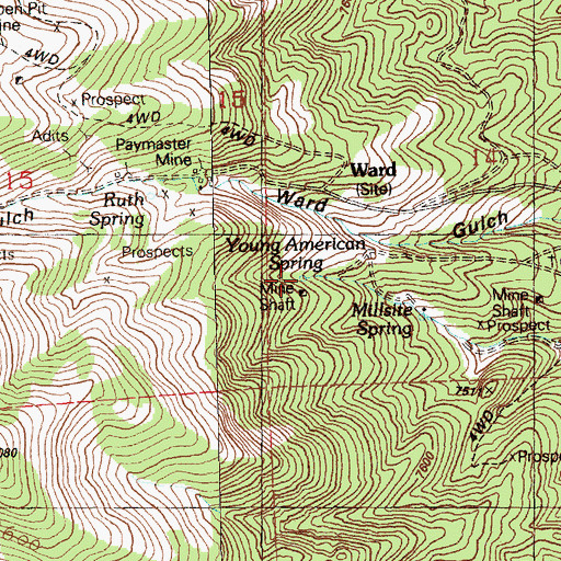 Topographic Map of Young American Spring, NV