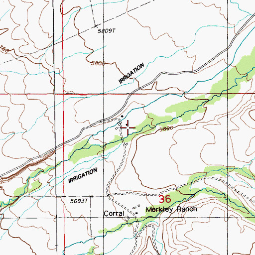 Topographic Map of Young Ranch, NV