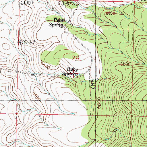 Topographic Map of Ruby Springs, NV