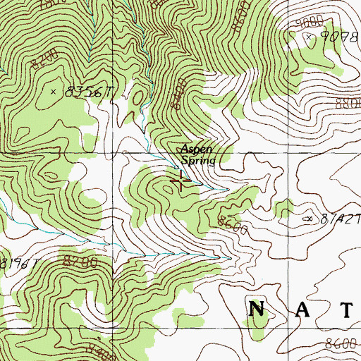 Topographic Map of Aspen Spring, NV