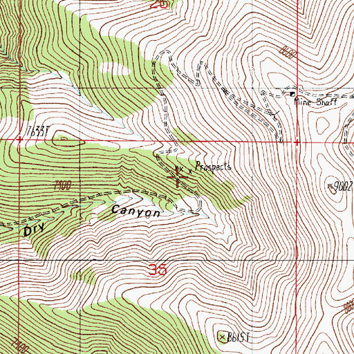 Topographic Map of Dry Canyon Mine, NV