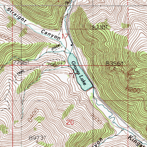Topographic Map of Groves Lake, NV