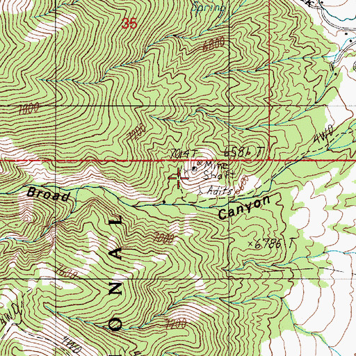 Topographic Map of Broad Canyon Mine, NV