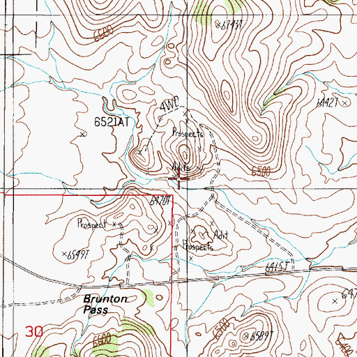 Topographic Map of Key Flower Mine, NV