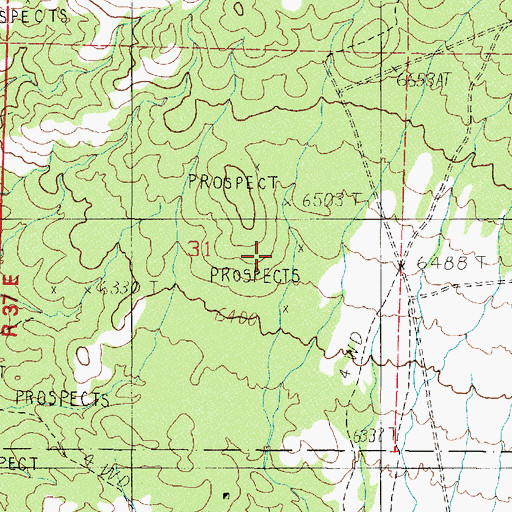 Topographic Map of Edgewood Spring (historical), NV