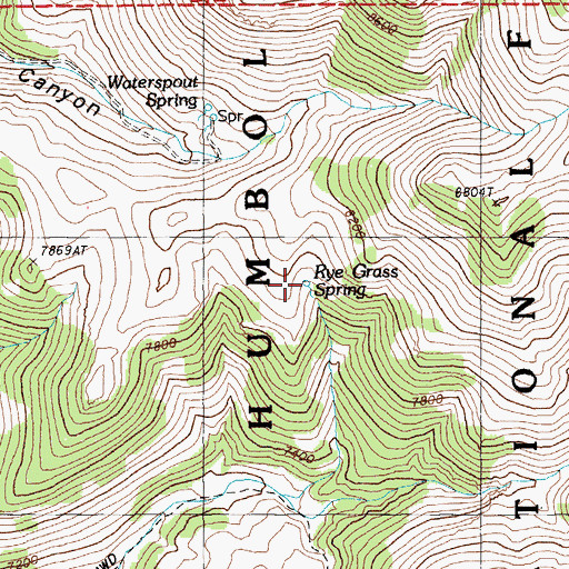 Topographic Map of Rye Grass Spring, NV