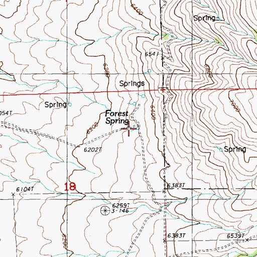 Topographic Map of Forest Spring, NV