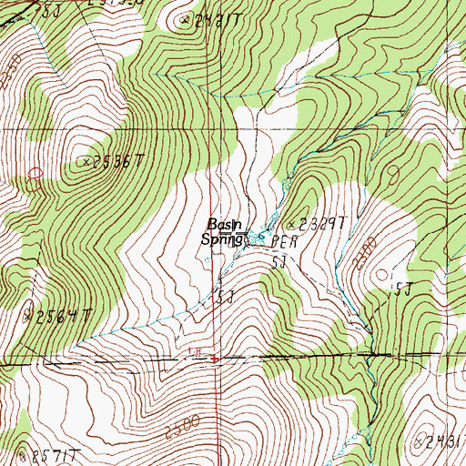 Topographic Map of Basin Spring, NV