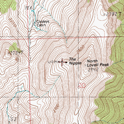 Topographic Map of The Nipple, NV