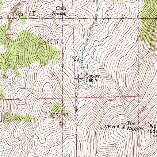 Topographic Map of Cooleys Cabin, NV