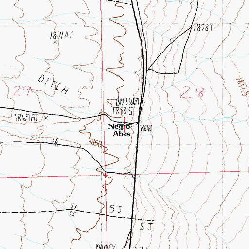 Topographic Map of Negro Abes, NV