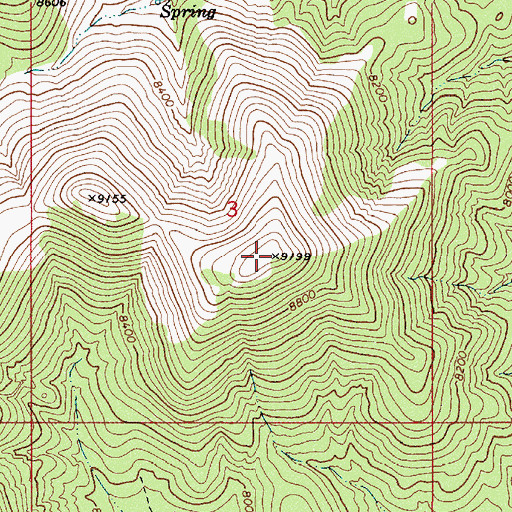Topographic Map of The Bald Sister, NV