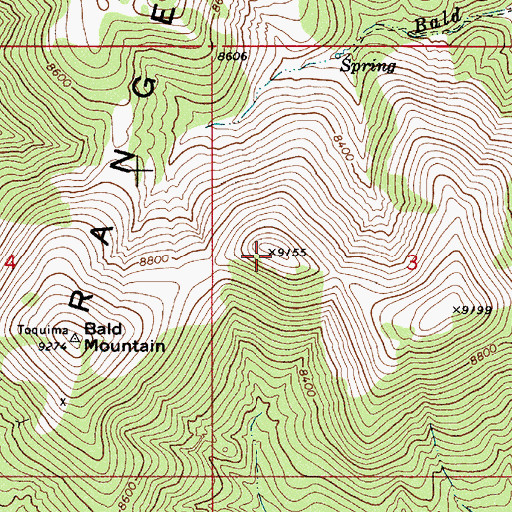 Topographic Map of The Bald Brother, NV