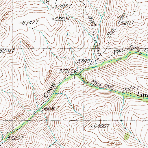 Topographic Map of Little Coon Creek, NV