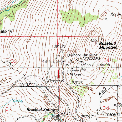 Topographic Map of Diamond Jim Mine, NV