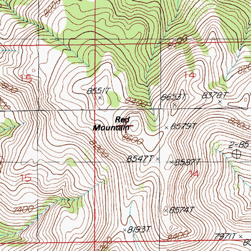 Topographic Map of Red Mountain, NV
