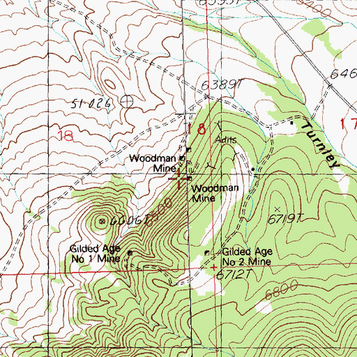 Topographic Map of Woodman Mine, NV
