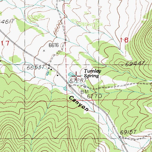 Topographic Map of Turnley Spring, NV