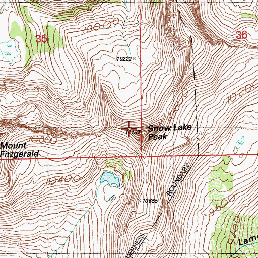 Topographic Map of Snow Lake Peak, NV