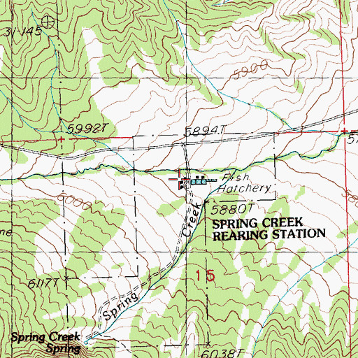 Topographic Map of Spring Creek Rearing Station, NV