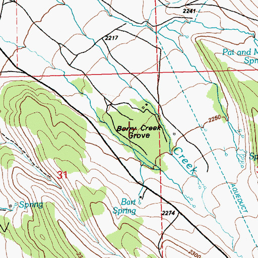 Topographic Map of Berry Creek Grove, NV