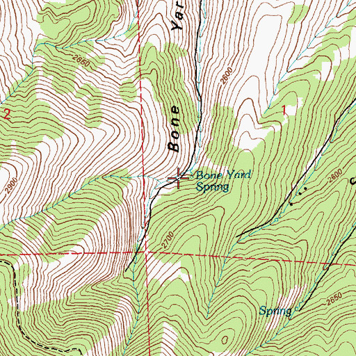 Topographic Map of Bone Yard Spring, NV