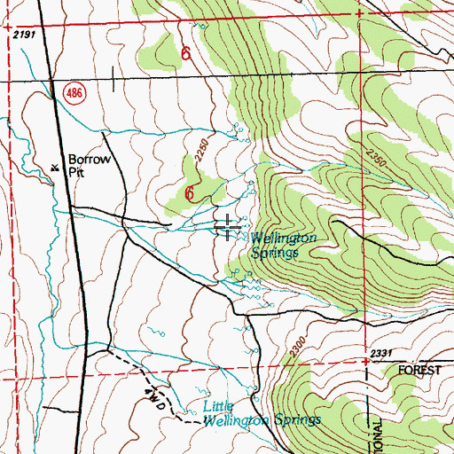 Topographic Map of Wellington Springs, NV