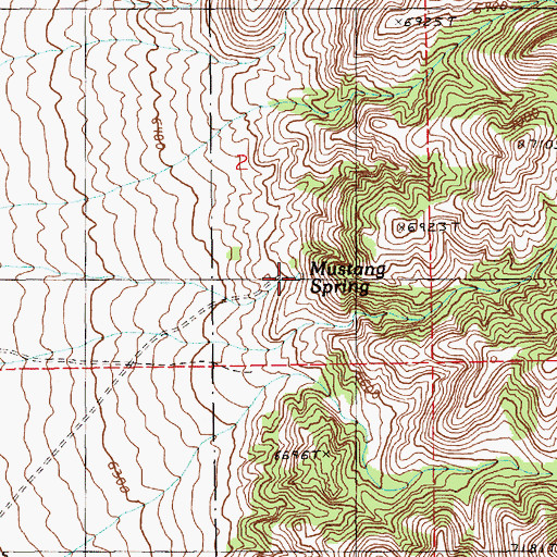 Topographic Map of Mustang Spring, NV