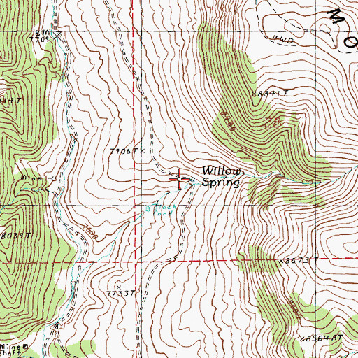 Topographic Map of Willow Spring, NV