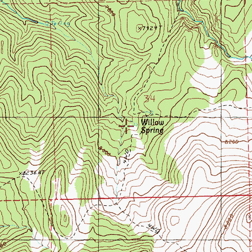Topographic Map of Willow Spring, NV