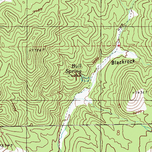 Topographic Map of Bull Spring, NV