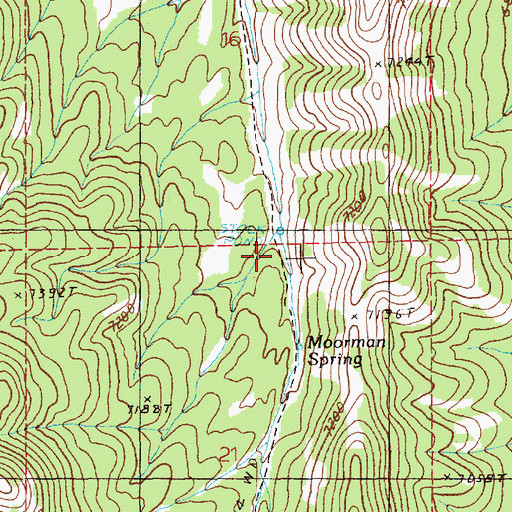 Topographic Map of Moorman Spring, NV