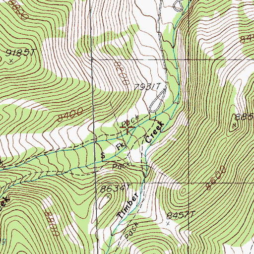 Topographic Map of South Fork Baker Creek, NV