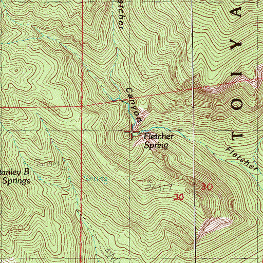 Topographic Map of Fletcher Spring, NV