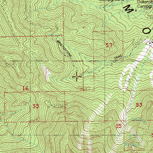 Topographic Map of Bristlecone Trail, NV