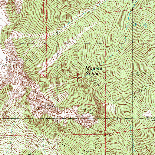 Topographic Map of Mummy Spring, NV