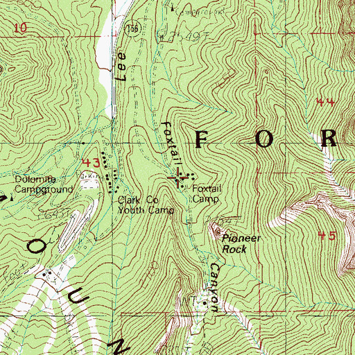 Topographic Map of Foxtail Camp, NV