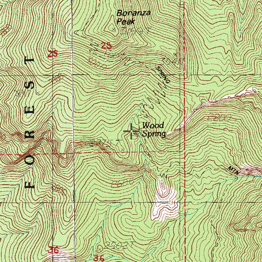 Topographic Map of Wood Spring, NV