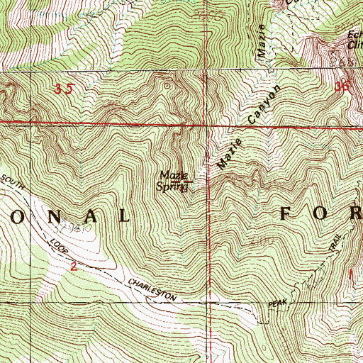 Topographic Map of Mazie Spring, NV