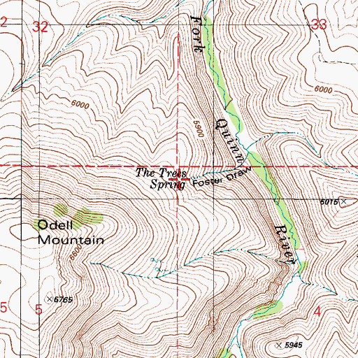 Topographic Map of The Trees Spring, NV