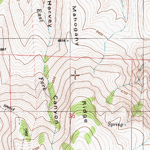 Topographic Map of Mahogany Ridge, NV