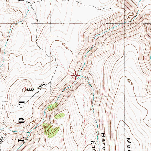 Topographic Map of East Fork Round Corral Creek, NV