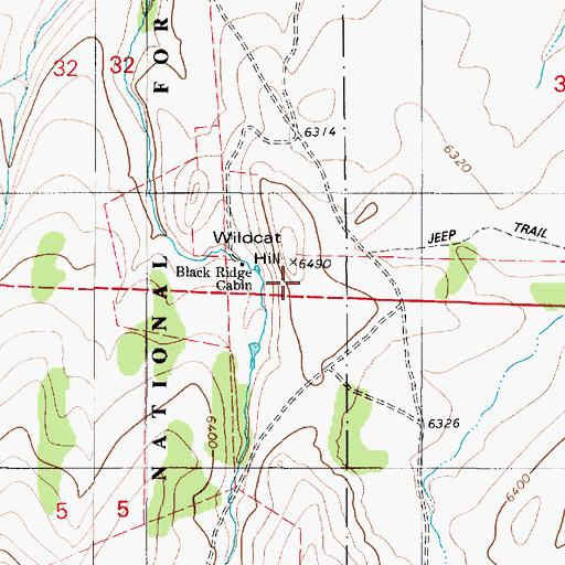 Topographic Map of Wildcat Hill, NV