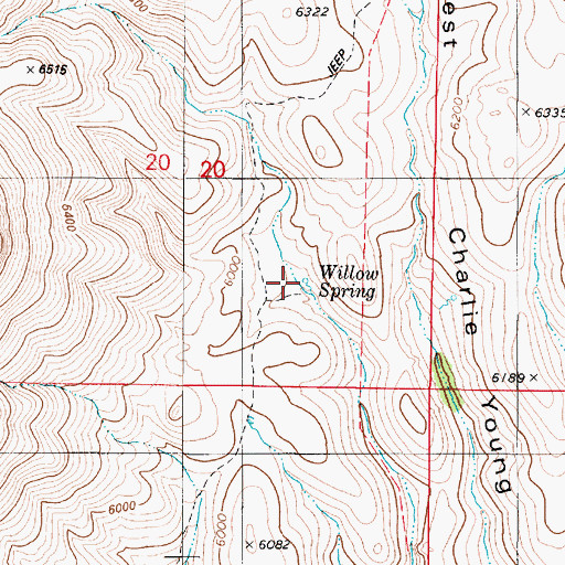 Topographic Map of Willow Spring, NV