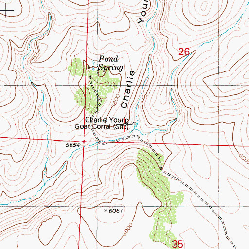 Topographic Map of Charlie Young Goat Corral (historical), NV