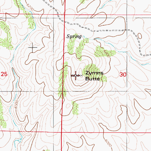 Topographic Map of Zymns Butte, NV