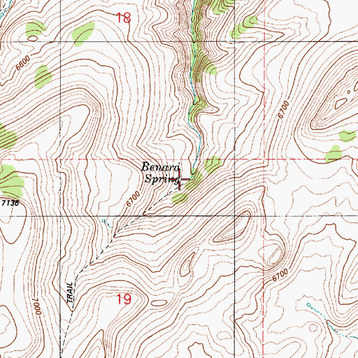 Topographic Map of Benard Spring, NV