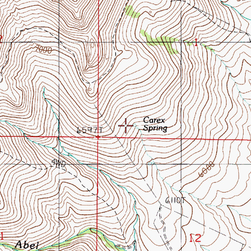 Topographic Map of Carex Spring, NV